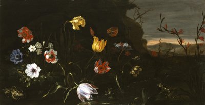 Fleurs et Grenouilles - Giuseppe Recco